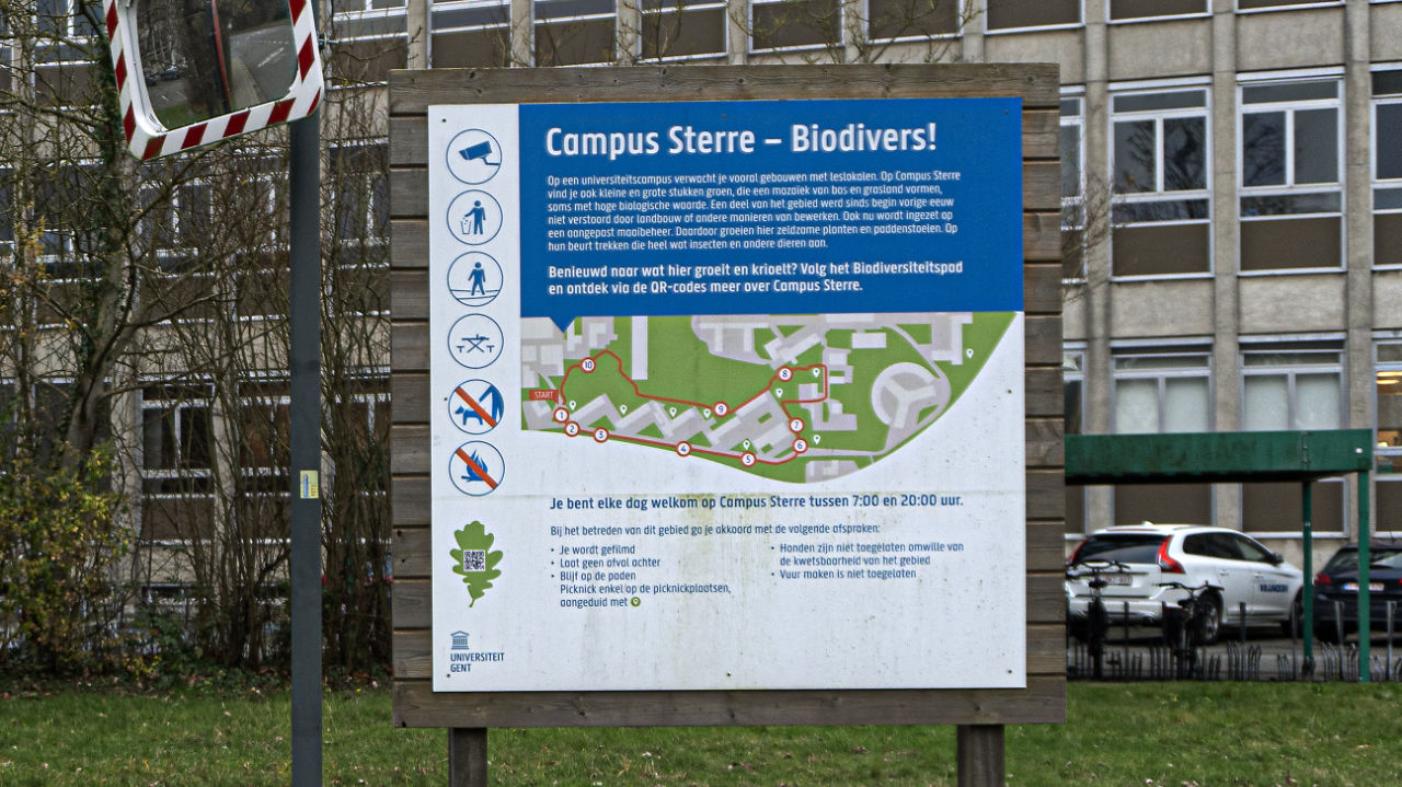 S8, Campus Sterre