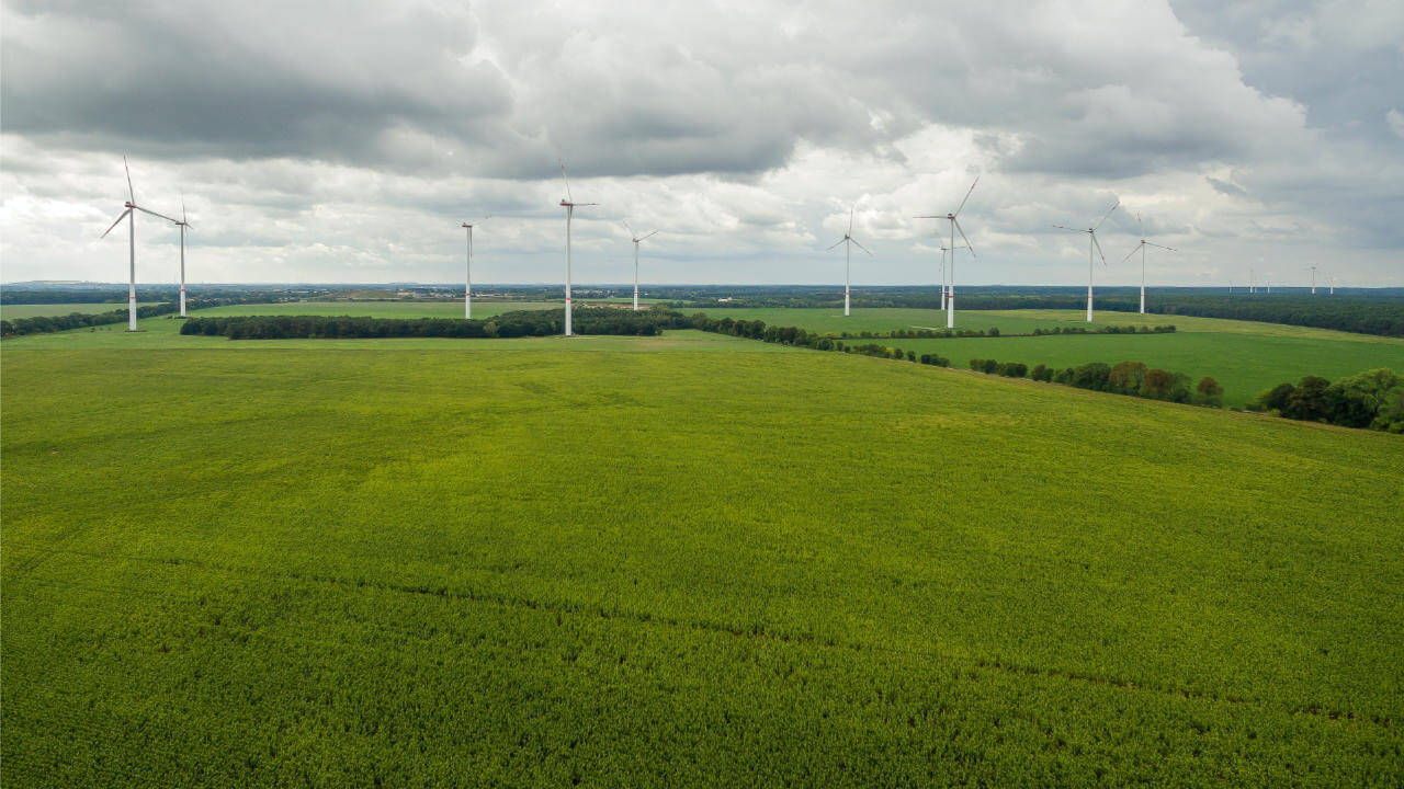 Landschapsecologie